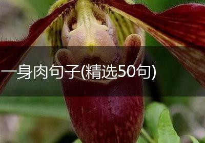 一身肉句子(精选50句)
