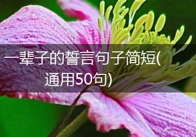 一辈子的誓言句子简短(通用50句)