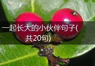 一起长大的小伙伴句子(共20句)