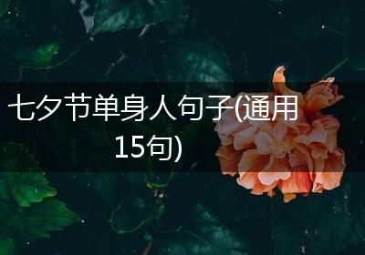 七夕节单身人句子(通用15句)