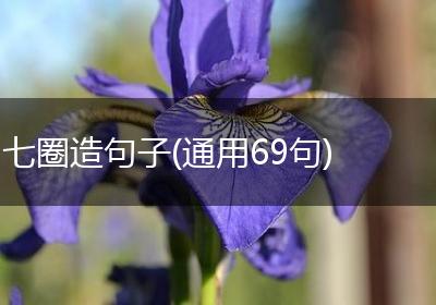 七圈造句子(通用69句)