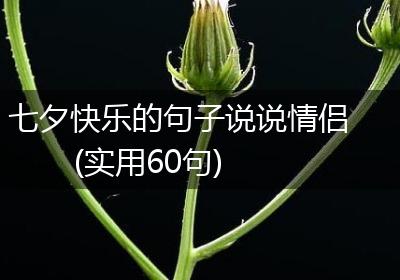 七夕快乐的句子说说情侣(实用60句)