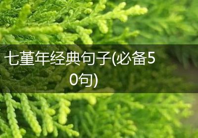 七堇年经典句子(必备50句)