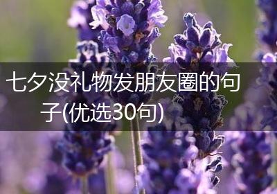 七夕没礼物发朋友圈的句子(优选30句)