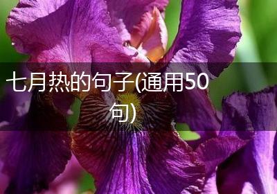 七月热的句子(通用50句)