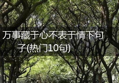 万事藏于心不表于情下句子(热门10句)