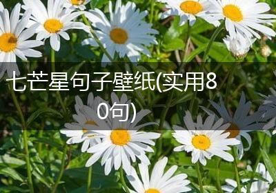 七芒星句子壁纸(实用80句)