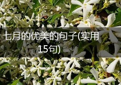 七月的优美的句子(实用15句)