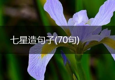 七星造句子(70句)