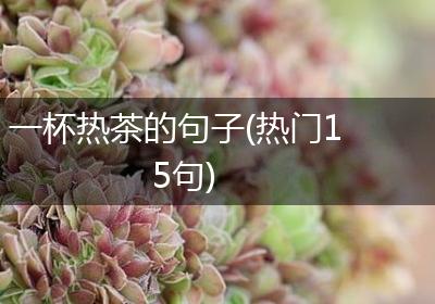 一杯热茶的句子(热门15句)