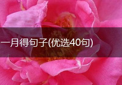 一月得句子(优选40句)