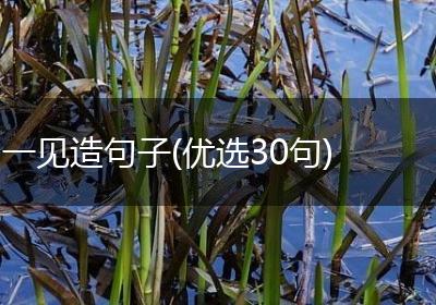 一见造句子(优选30句)