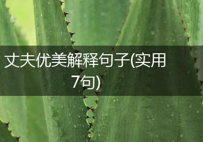 丈夫优美解释句子(实用7句)