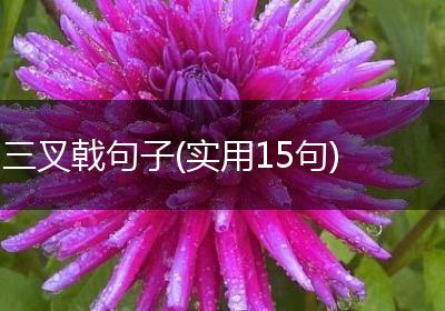 三叉戟句子(实用15句)