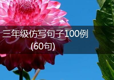 三年级仿写句子100例(60句)