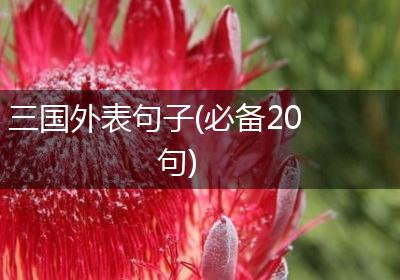 三国外表句子(必备20句)