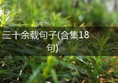 三十余载句子(合集18句)