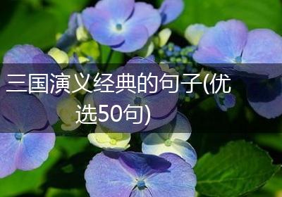 三国演义经典的句子(优选50句)
