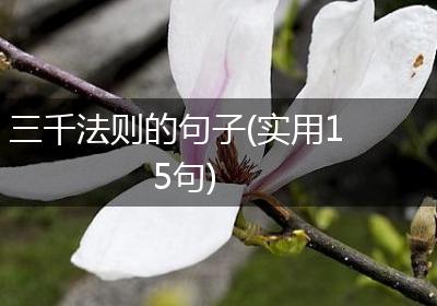 三千法则的句子(实用15句)