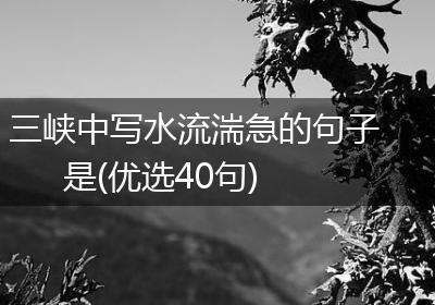 三峡中写水流湍急的句子是(优选40句)