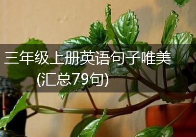 三年级上册英语句子唯美(汇总79句)