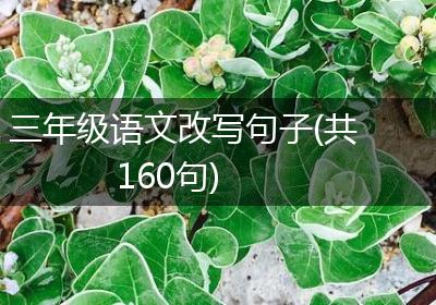三年级语文改写句子(共160句)