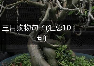 三月购物句子(汇总10句)