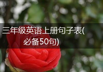 三年级英语上册句子表(必备50句)