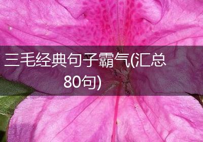 三毛经典句子霸气(汇总80句)
