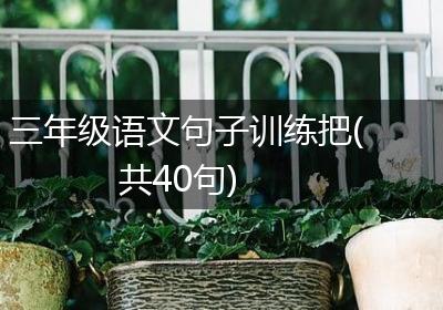 三年级语文句子训练把(共40句)