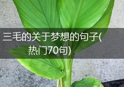 三毛的关于梦想的句子(热门70句)