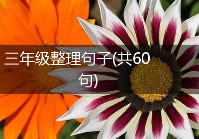 三年级整理句子(共60句)