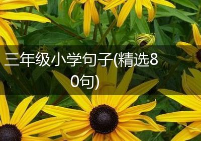 三年级小学句子(精选80句)