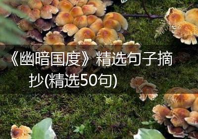 《幽暗国度》精选句子摘抄(精选50句)