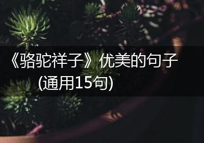 《骆驼祥子》优美的句子(通用15句)