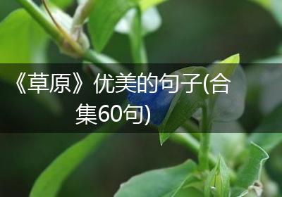 《草原》优美的句子(合集60句)