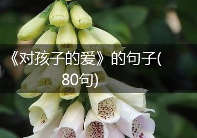 《对孩子的爱》的句子(80句)