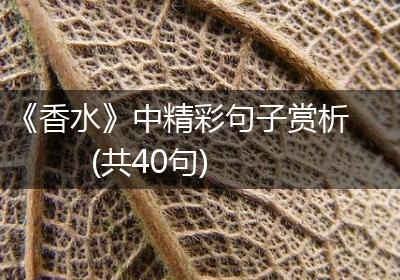 《香水》中精彩句子赏析(共40句)
