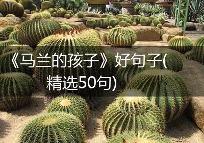 《马兰的孩子》好句子(精选50句)