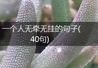 一个人无牵无挂的句子(40句)
