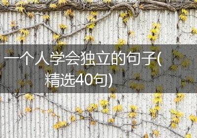 一个人学会独立的句子(精选40句)