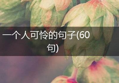 一个人可怜的句子(60句)