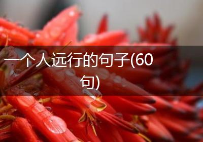 一个人远行的句子(60句)