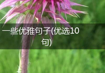 一些优雅句子(优选10句)