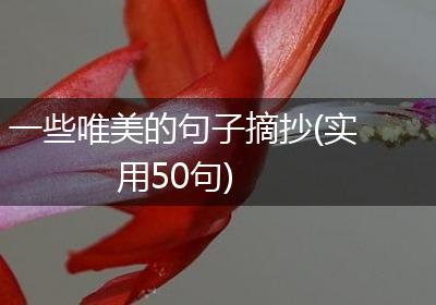 一些唯美的句子摘抄(实用50句)