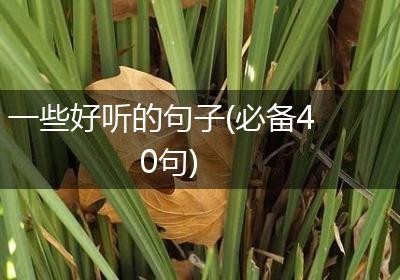 一些好听的句子(必备40句)