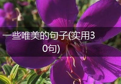 一些唯美的句子(实用30句)