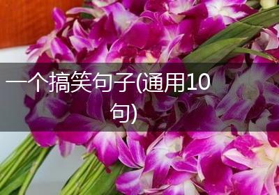 一个搞笑句子(通用10句)