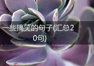 一些搞笑的句子(汇总20句)