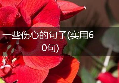 一些伤心的句子(实用60句)